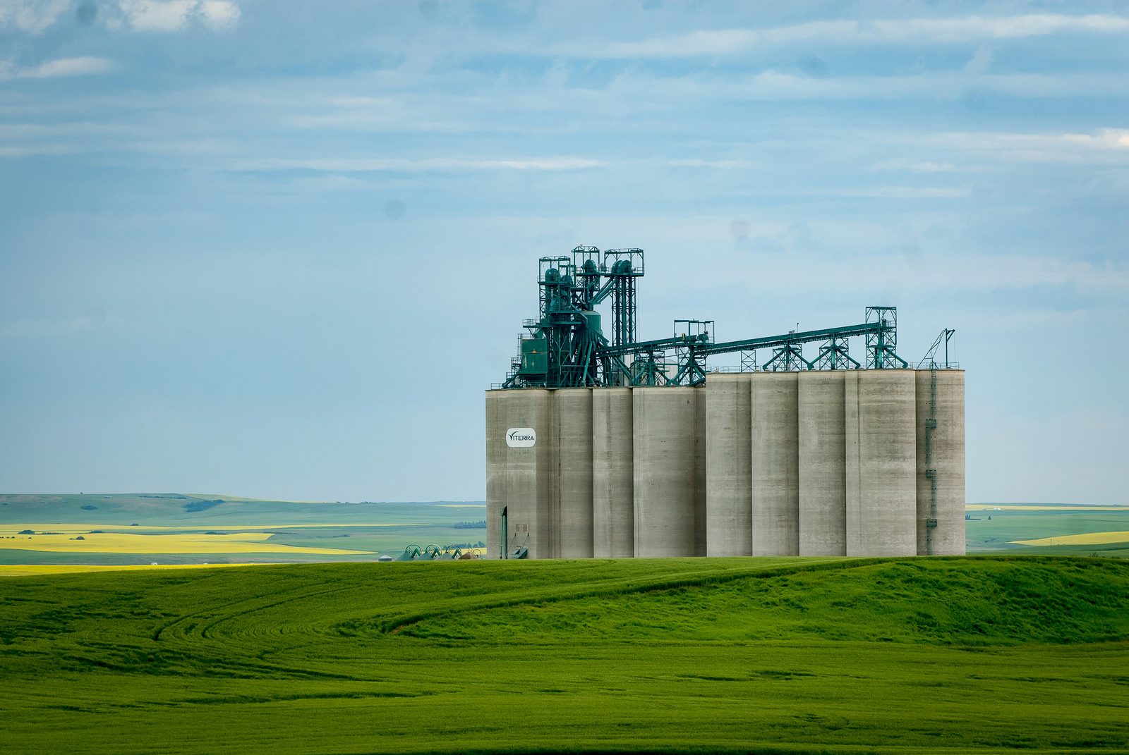 Agri-food sector mandate — Canadian producer entering export markets